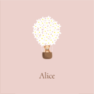 Alice Van Den Abeele